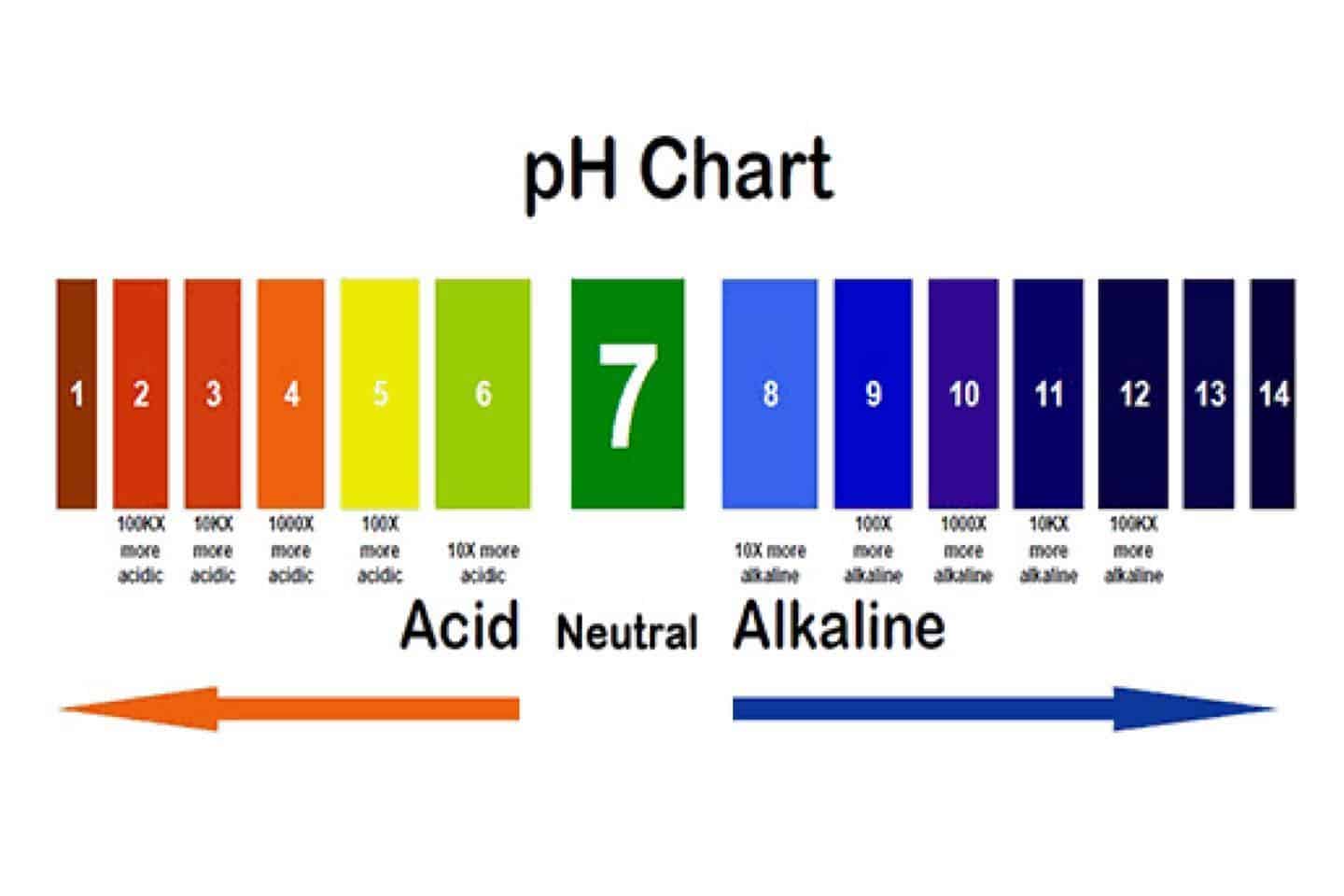 High Aquarium pH
